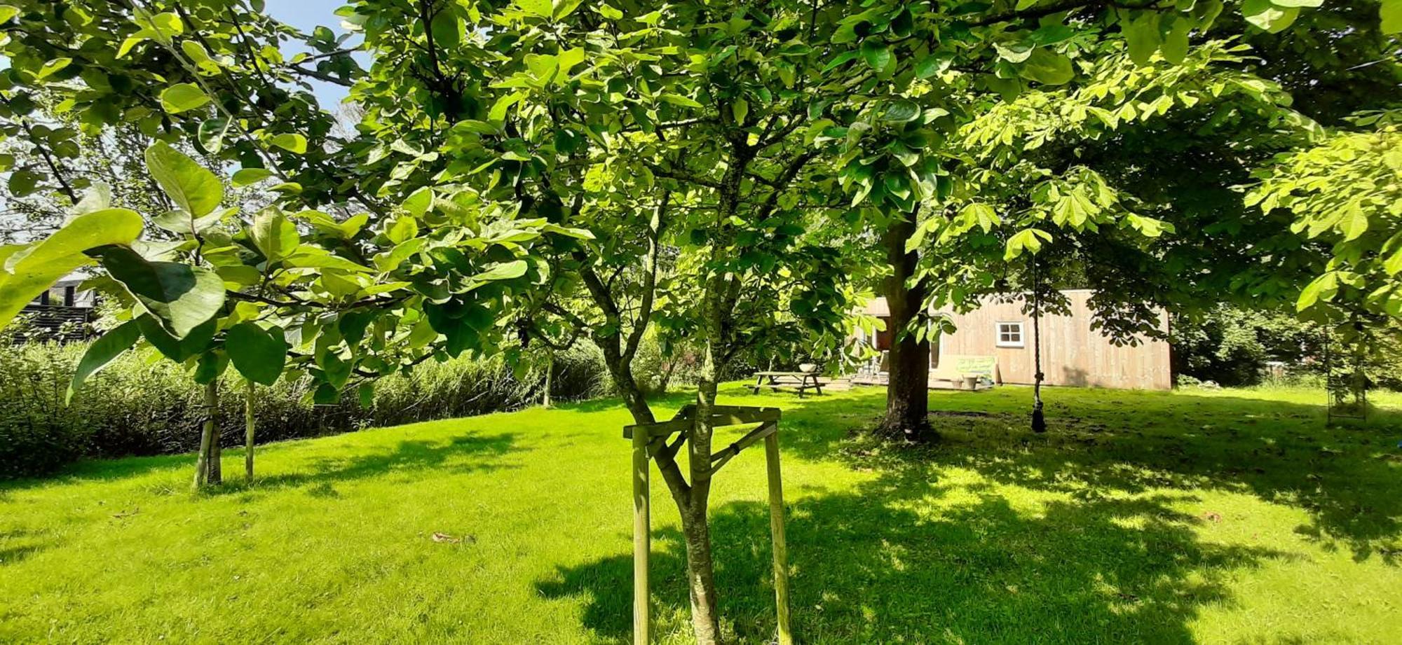 Tobornottob Villa Oosternijkerk Dış mekan fotoğraf