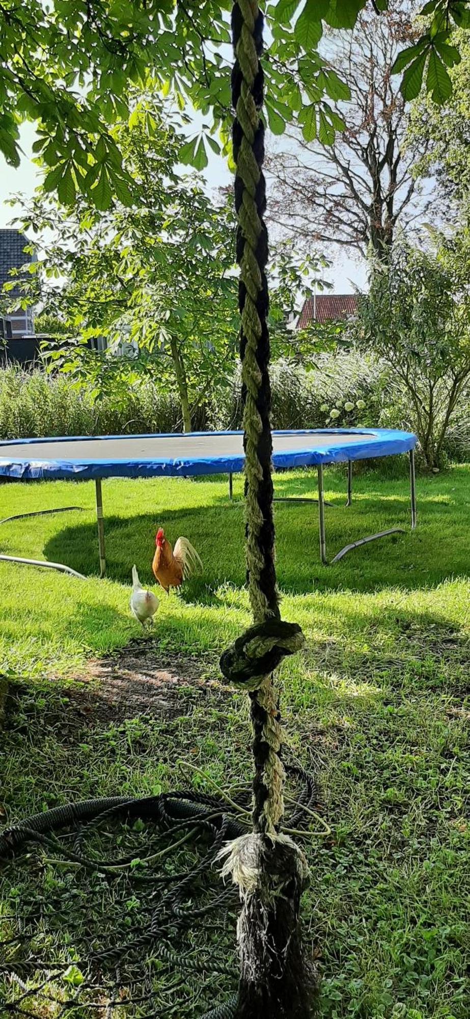 Tobornottob Villa Oosternijkerk Dış mekan fotoğraf